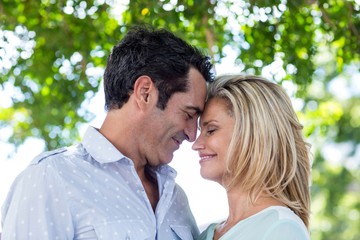 Obraz premium Romantic couple against trees 