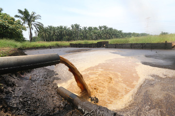 Palm Oil Mill Effluent (POME) wastewater being discharged