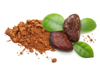 Cacao beans and powder isolated 