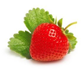 Red berry strawberry