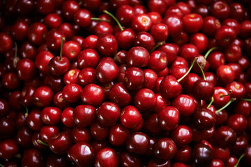 cherry background