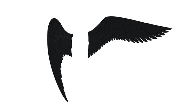 Angel black wings isolated on a white background 3D illustration render
