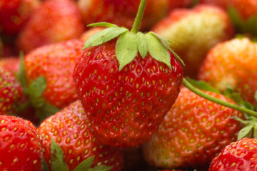 large fresh red strawberry