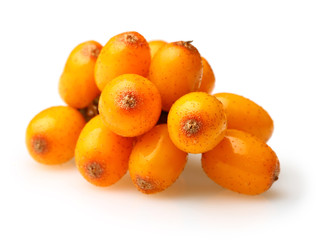 Sea buckthorn isolated 