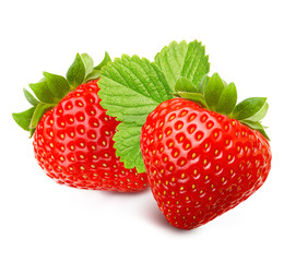 Red berry strawberry