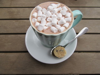 Hot chocolate with marsmallows