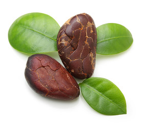 Cacao beans isolated 