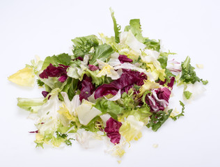  Green and red leaf of lettuce . Isolated on a white background