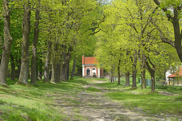 Kalwaria Zebrzydowska in Poland - UNESCO World Heritage Site. Landscape where there are pathways...