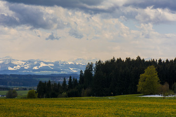Obraz premium Alpenpanorama im Voralpenland