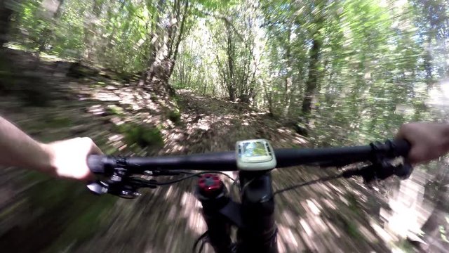 Mountain bike, cross country is an olympic sport. Cyclist on mountain bike during a race in a forest. POV Original point of view. 