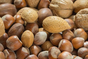 Assorted nuts close up