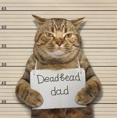 A scottish straight cat is a deadbeat dad.