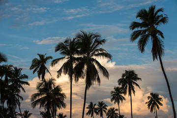 Fototapeta na wymiar Sunset sky on tropical island