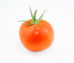 Tomate