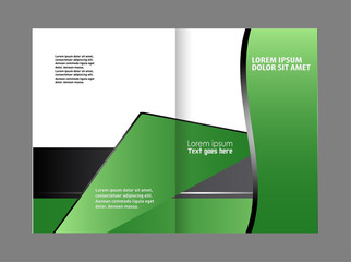 Professional business flyer, corporate brochure design template
