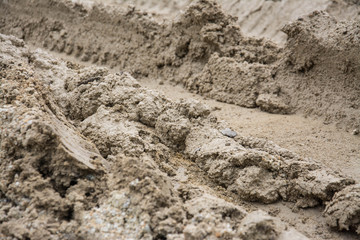 Wheel tracks on the soil.