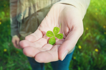 Hand holding a four leaf clover © summerisyou