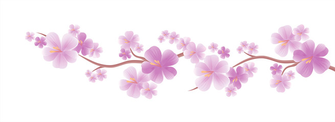 Obraz premium Branch of sakura with Purple flowers isolated on White color background. Cherry blossom branch. Vector