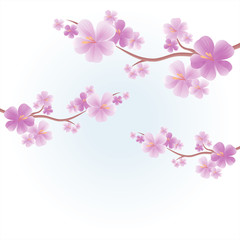 Apple tree flowers. Branches of sakura with Purple flowers isolated on Light Blue color background. Cherry blossom branches. Vector