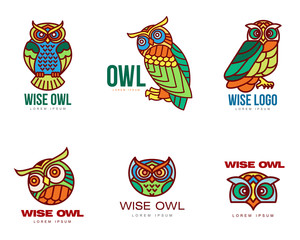 Fototapeta premium Set of colorful owl logo templates. Vector illustration isolated on white background. Great multicolored owl logo templates for companies, schools and colleges
