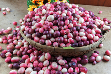 Carunda or Karonda fruit
