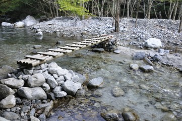 西丹沢 渓流を渡る木橋