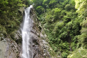 西丹沢 本棚の滝