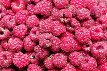 Himbeeren