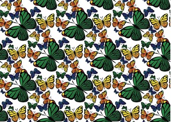 Butterfly colorful pattern. Vector