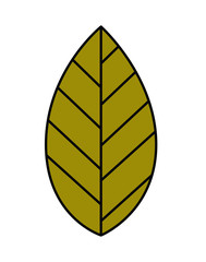 leaf plant isolated icon design