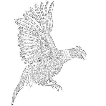 Zentangle stylized cartoon flying pheasant bird (cock, hen, phoenix). Hand drawn sketch for adult antistress coloring book page, T-shirt emblem, tattoo with doodle, zentangle design elements.