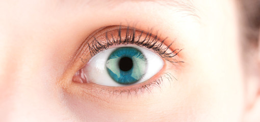 Detailed close up of an blue eye in high definition
