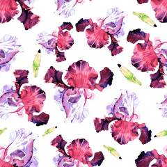 watercolor iris flower