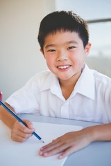 Schoolboy doing homework in classroom