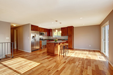 Spacious kitchen interior with hardwood floor in luxury house.