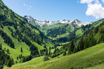 Fototapeta premium panorama landscape in Bavaria with alps mountains and meadow at spring