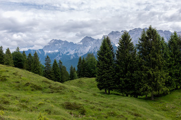 panorama landscape in Bavaria with alps mountains and meadow at spring