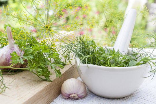 Fresh dill, parsley, arugula in the pestle and garlic on the table. Herbs and spices on wooden board and white towel.
