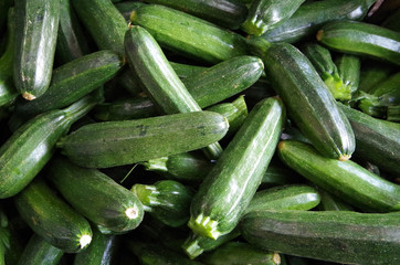 Detail of zucchini ready for market 
