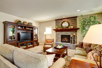 Spacious living room with fireplace, carpet floor and rug