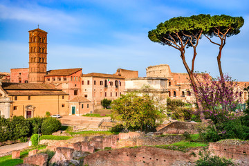 Fototapeta na wymiar Rome, Italy - Roman Forum