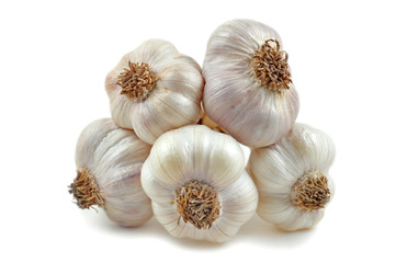 Garlic, Allium sativum, on white background