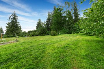 Fototapeta na wymiar Farm house backyard with green lawn, fir trees, bushes