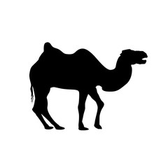 bactrian camel silhouette