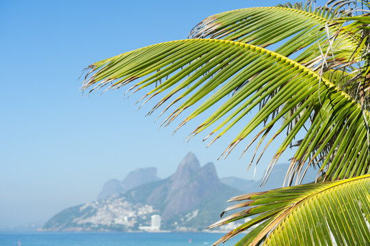 Ipanema Beach, Rio de Janeiro, Brazil scenic view with Two Brothers Mountain behind palm fronds 