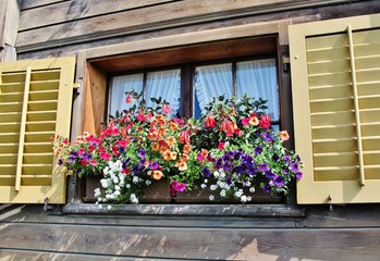 Fototapeta na wymiar Blumenfenster in Planken, Liechtenstein