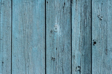 Naklejka premium the texture of natural wood, painted with blue paint