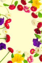 Flowers carnations, marguerite, petunias, daisies