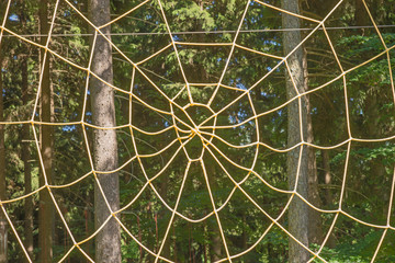 Spinnennetz im Kletterpark